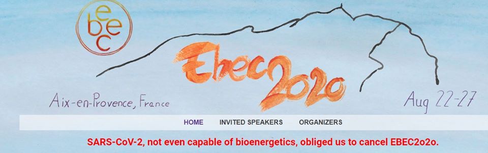 EBEC2020